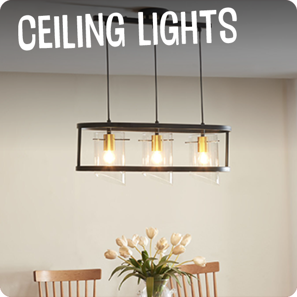 Ceiling lights
