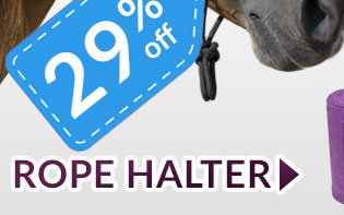 Roper halter sale