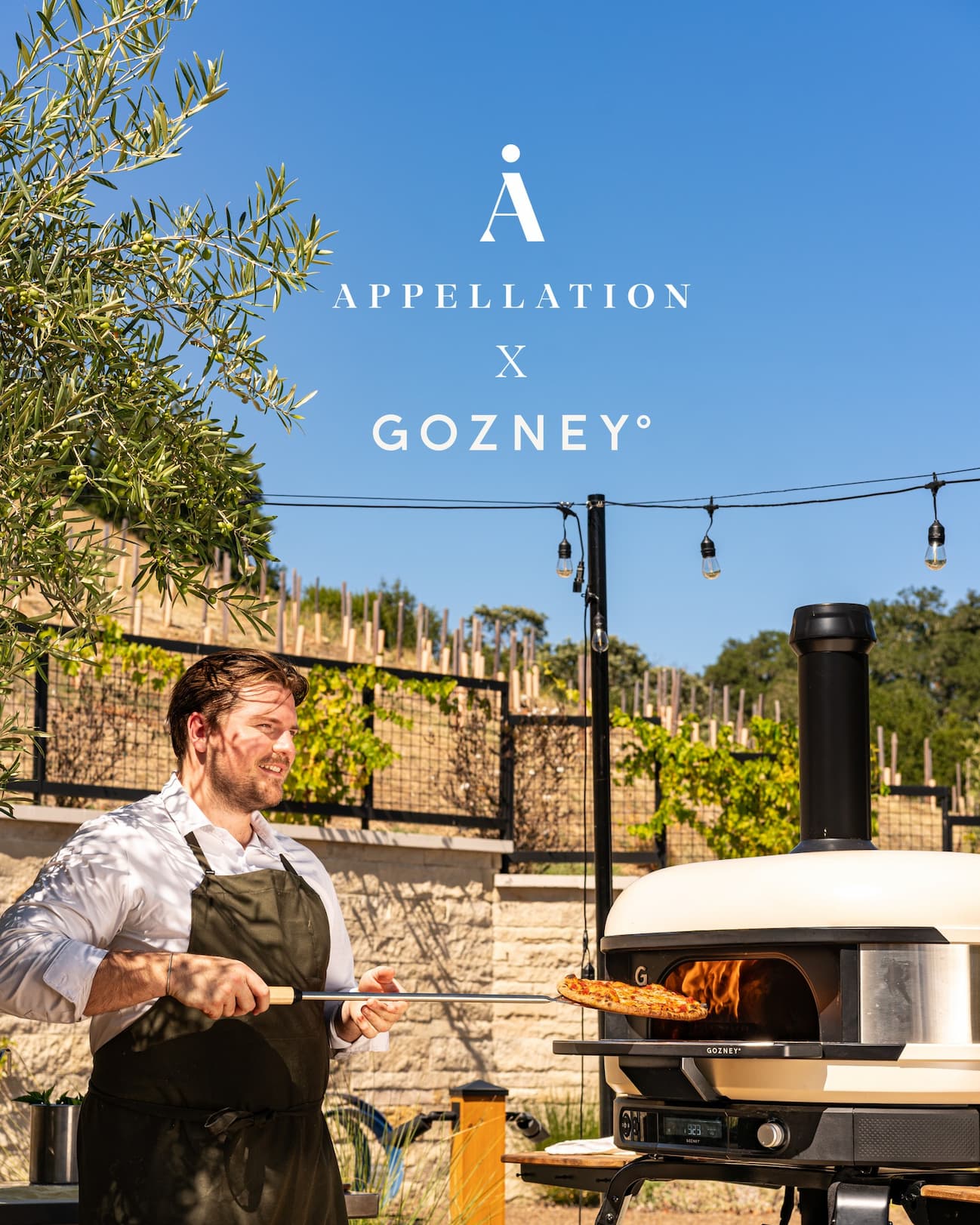 Hotel Appellation and gozney sweepstake