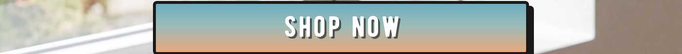 SHOP NOW! button.