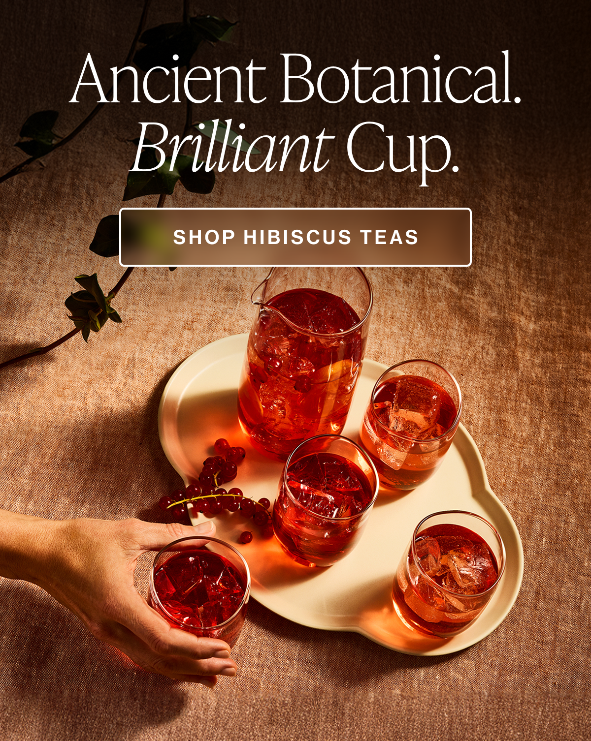 Ancient Botanical. Brilliant Cup.
