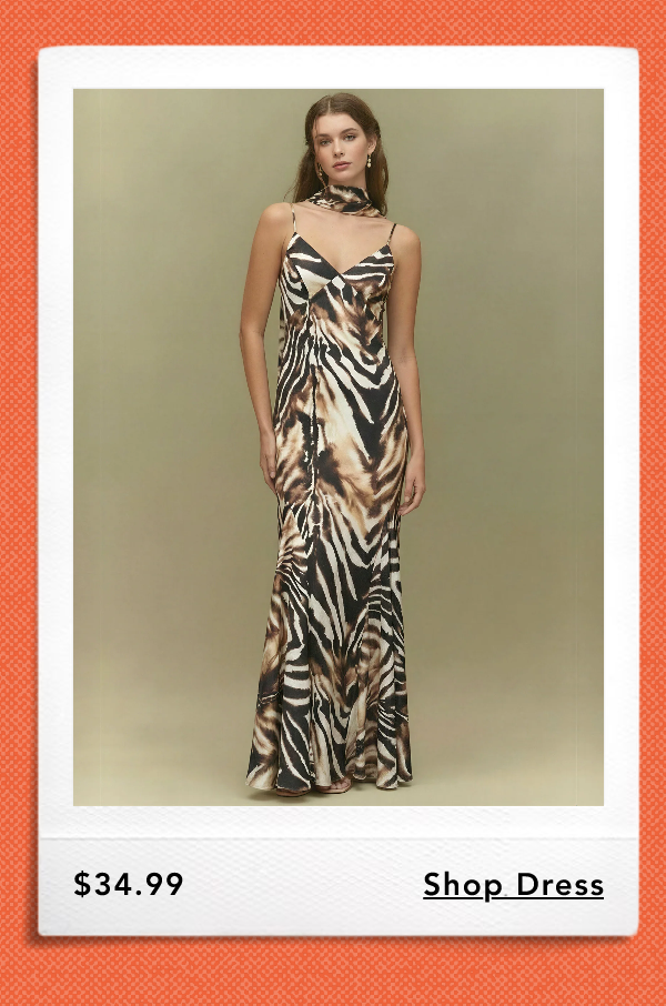 Sleeveless V Neck Abstract Animal Print Slip Gown