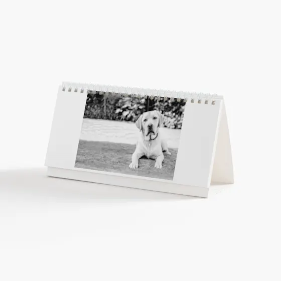 Personalised Desk Calendars