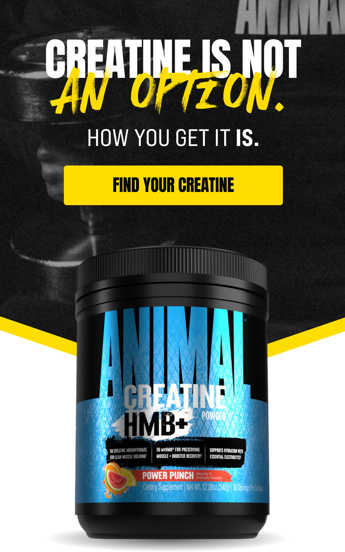 Creatine is not an Option. [Click here to FIND YOUR CREATINE]