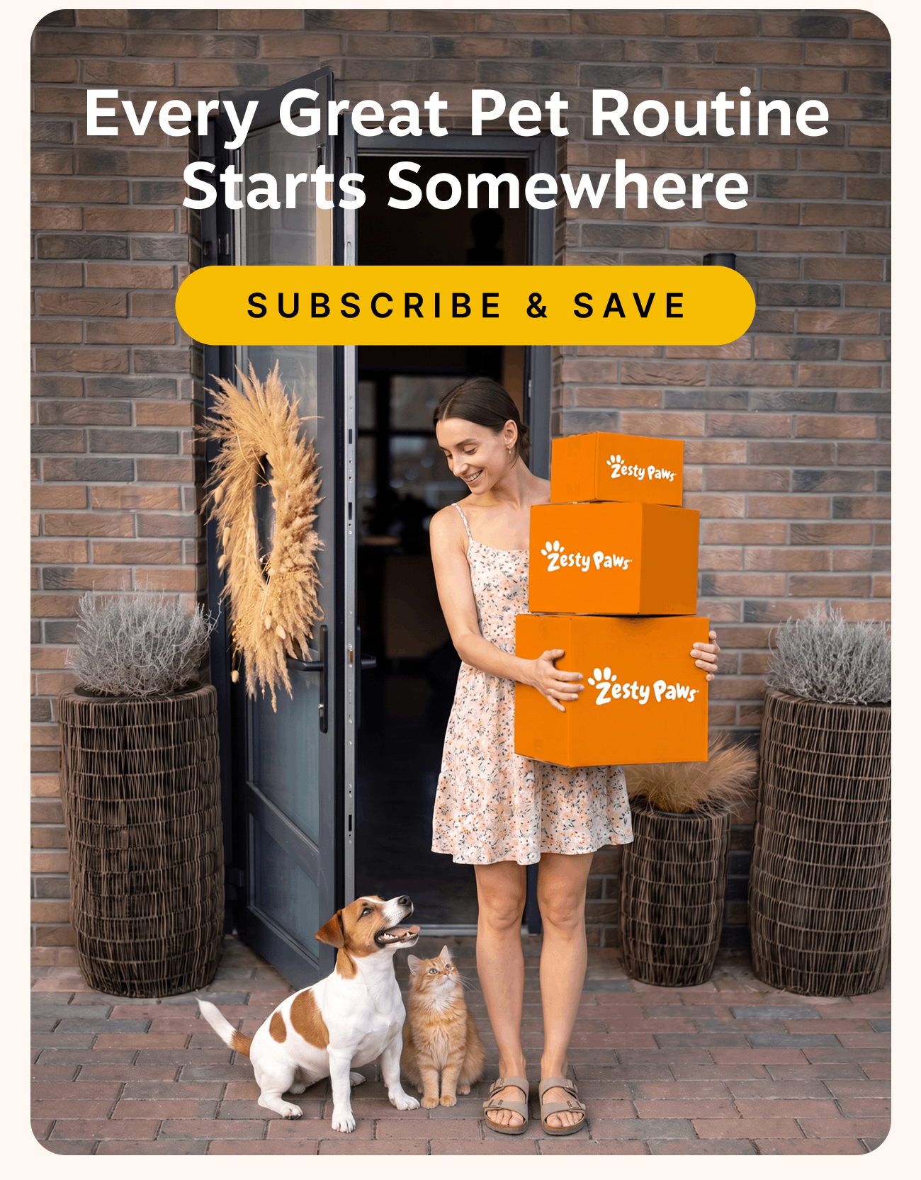 Every Great Pet Routine Starts Somewhere! Subscribe & Save