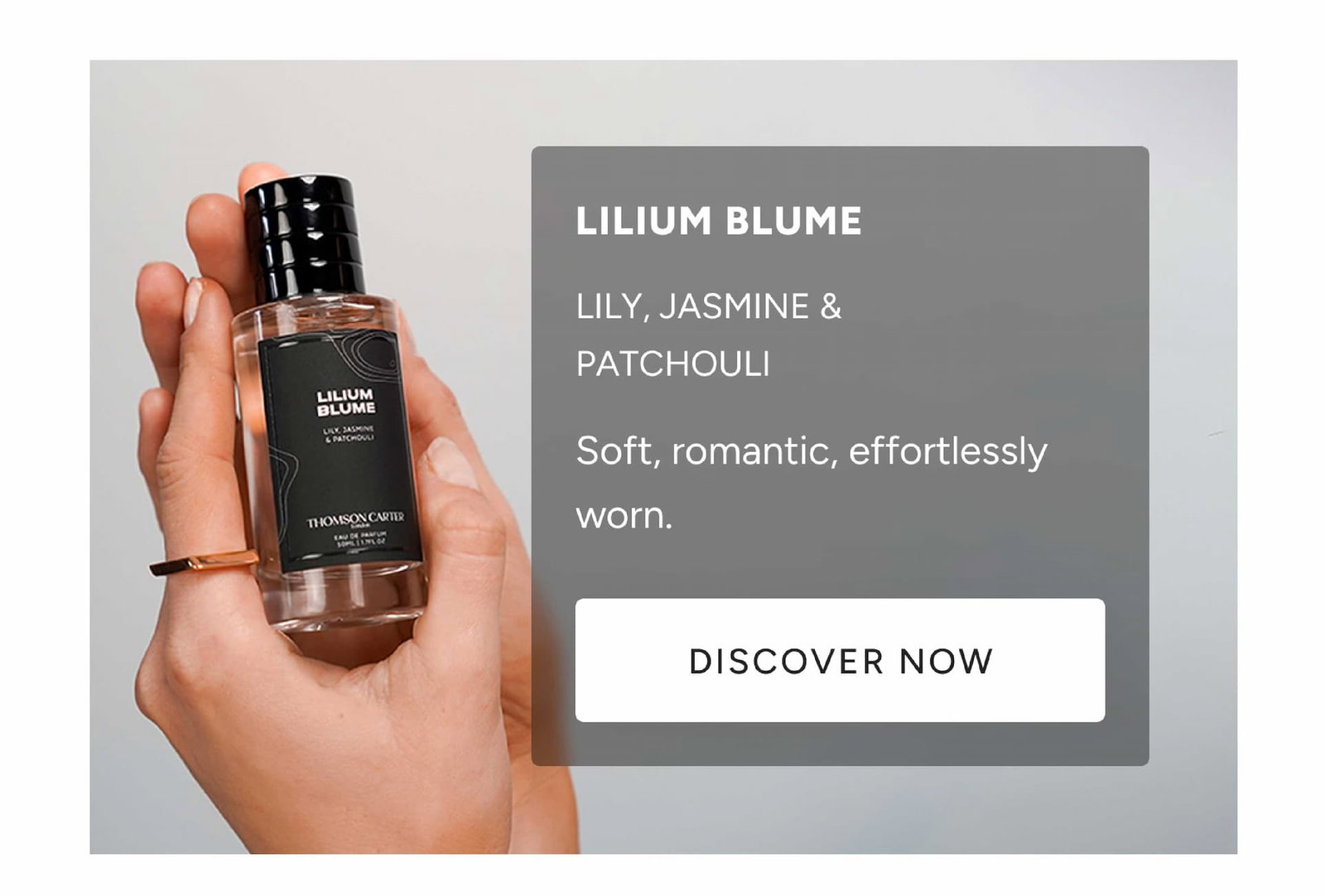 Lilium Blume