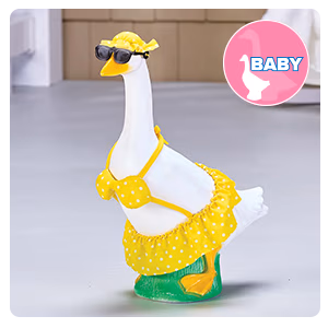 Baby Outfit Collection