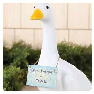 Shop Gaggleville® Accessories