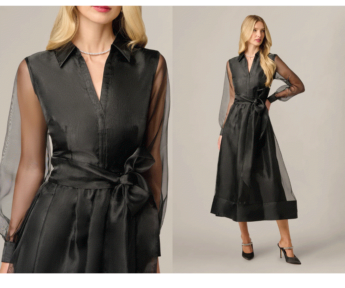 Long Sleeve Organza Collared Ankle Length Midi Dress In Black
