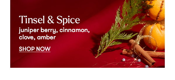 Tinsel & Spice