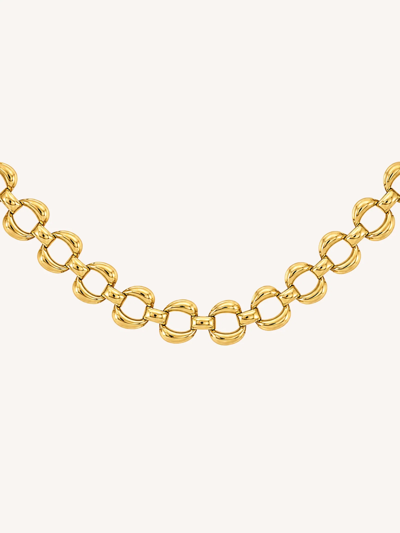 Image of Alessia Link Necklace