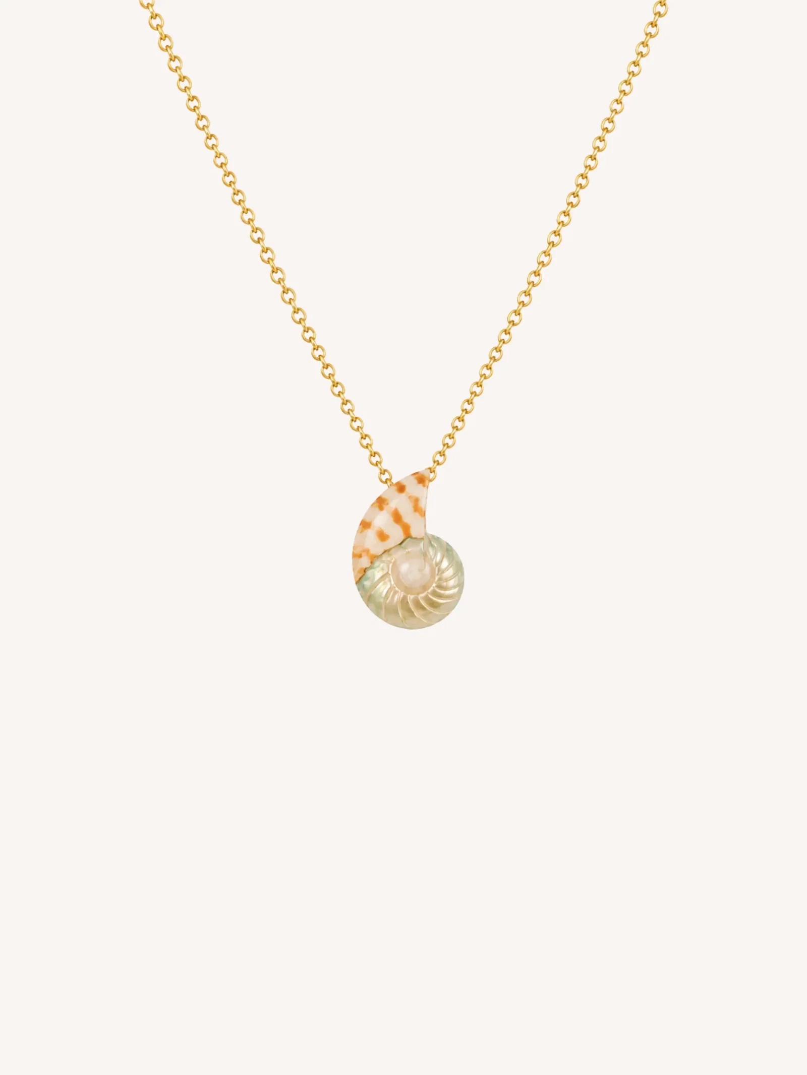 Image of Nerina Shell Necklace