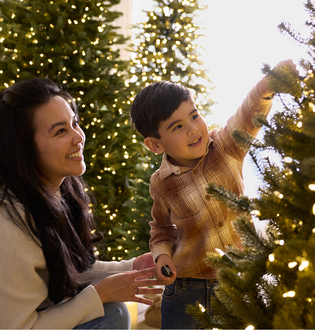 Mother and son putting ornaments onto a tree.