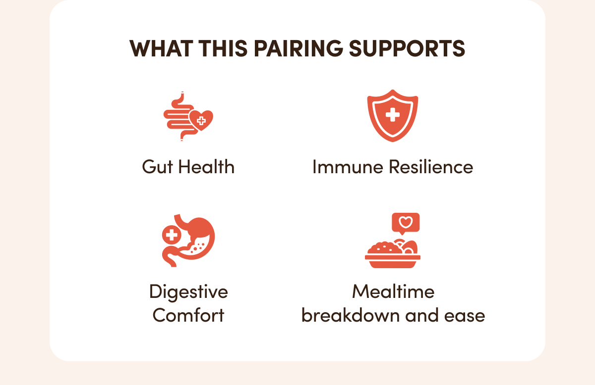 WHAT THIS PAIRING SUPPORTS