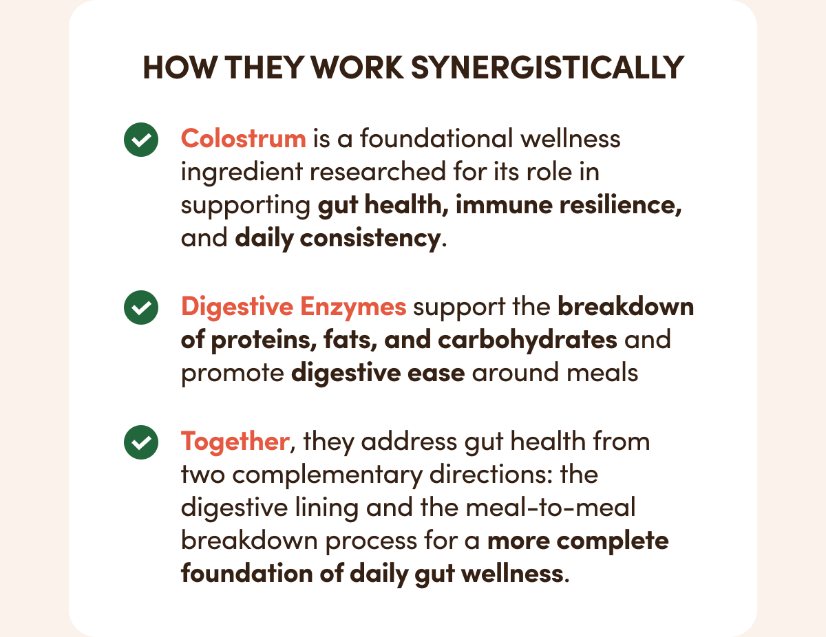 HOW THEY WORK SYNERGISTICALLY