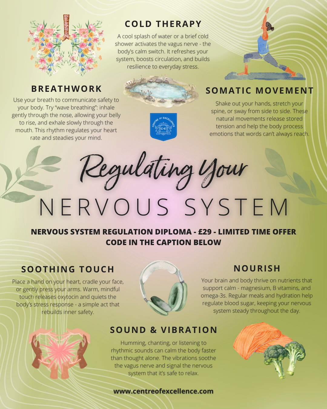 nervous system regulation infographic