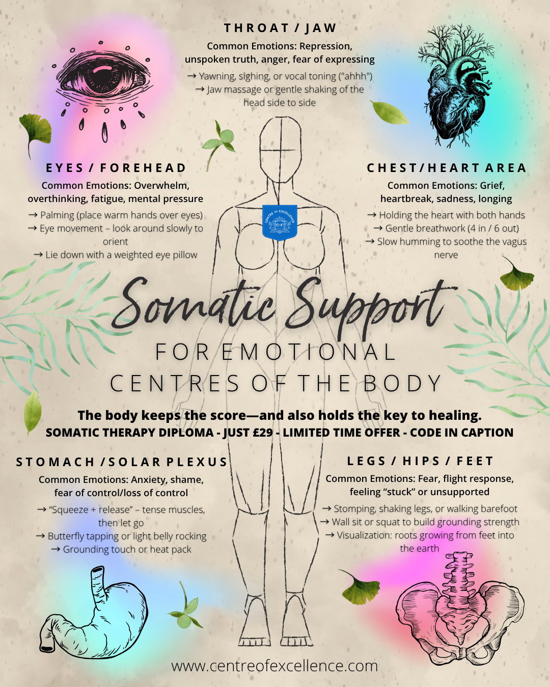 somatic support infographic