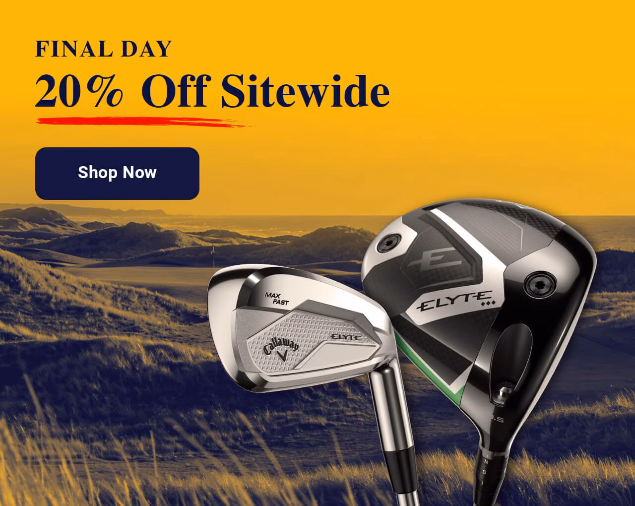 Last Day: 20% Off Sitewide