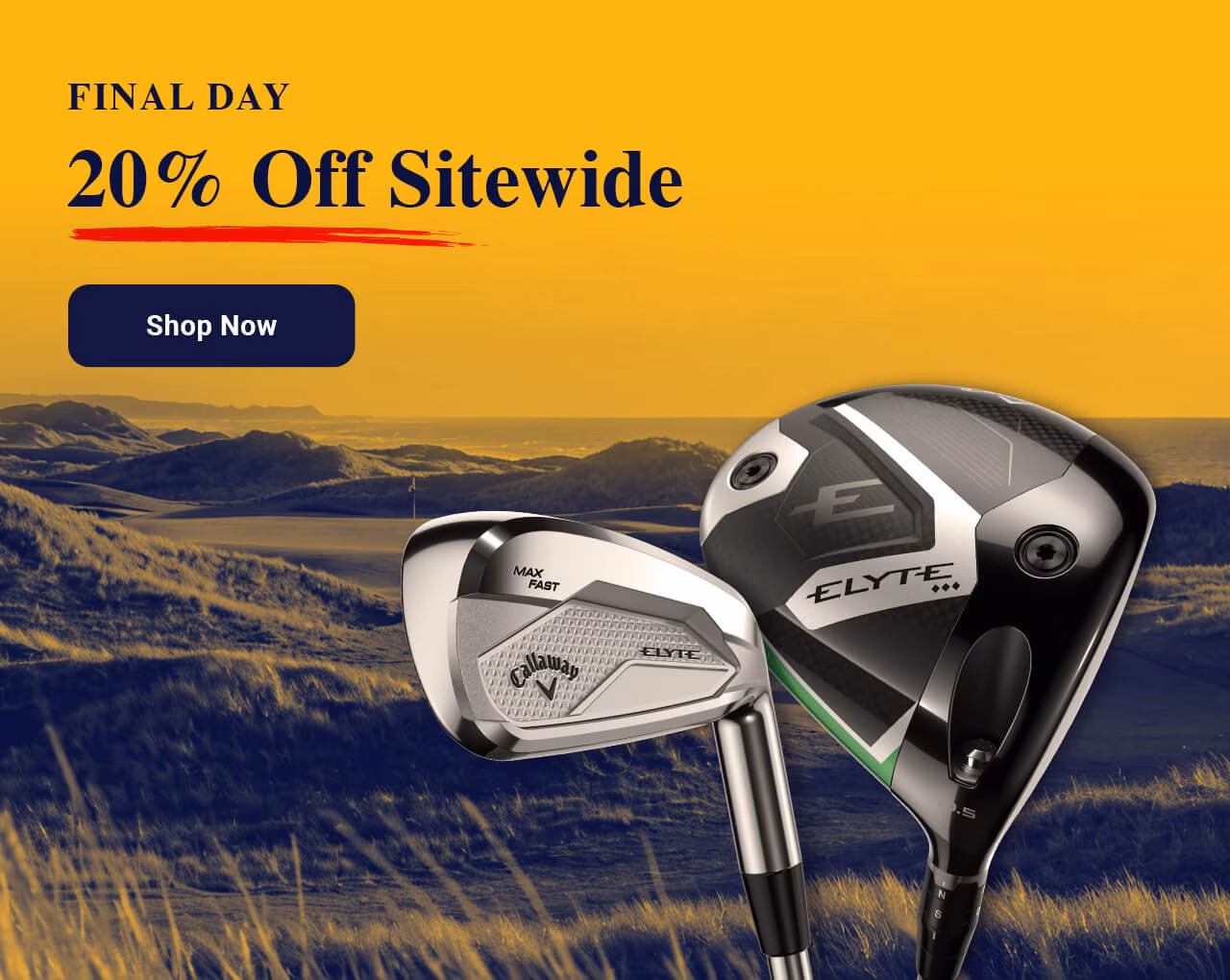 Last Day: 20% Off Sitewide