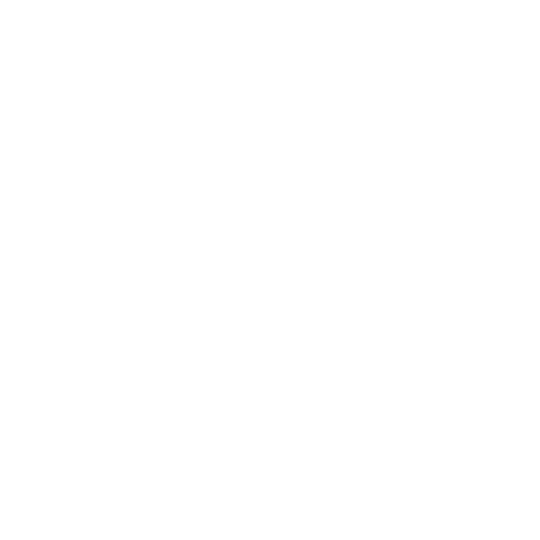 Neue Kollektion