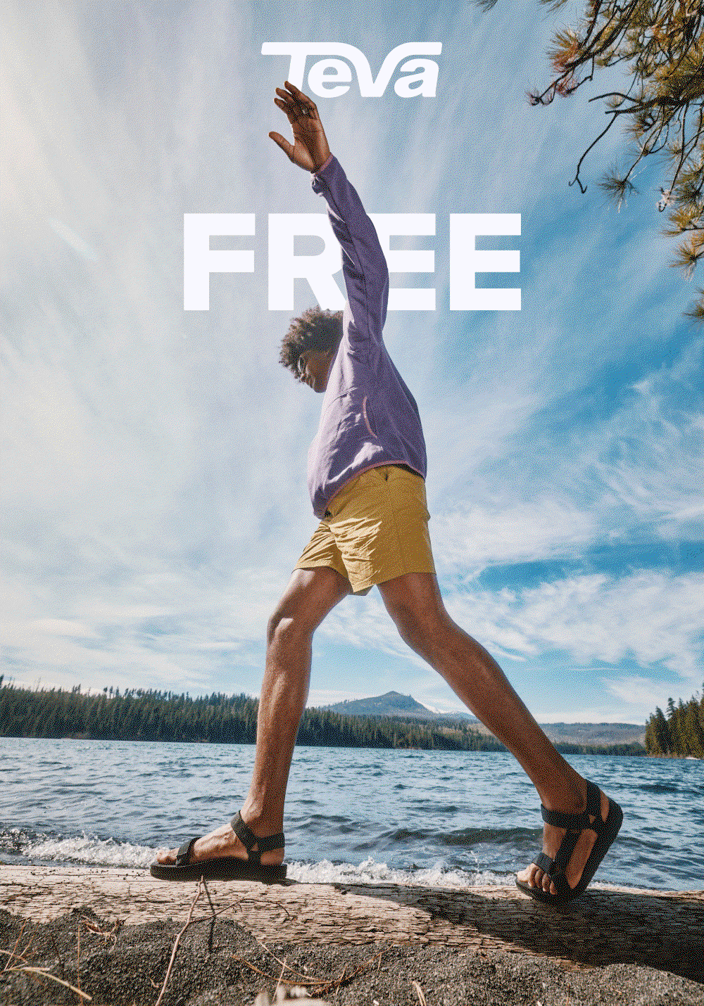 Free Expedited Shipping