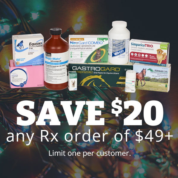 20% Off any Rx order of $49+ - Use Code: RXDEAL49