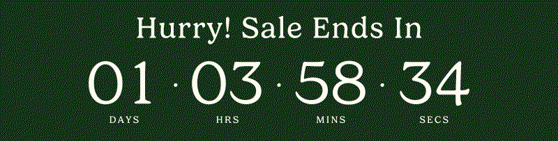 Hurry! Sale Ends Countdown Timer
