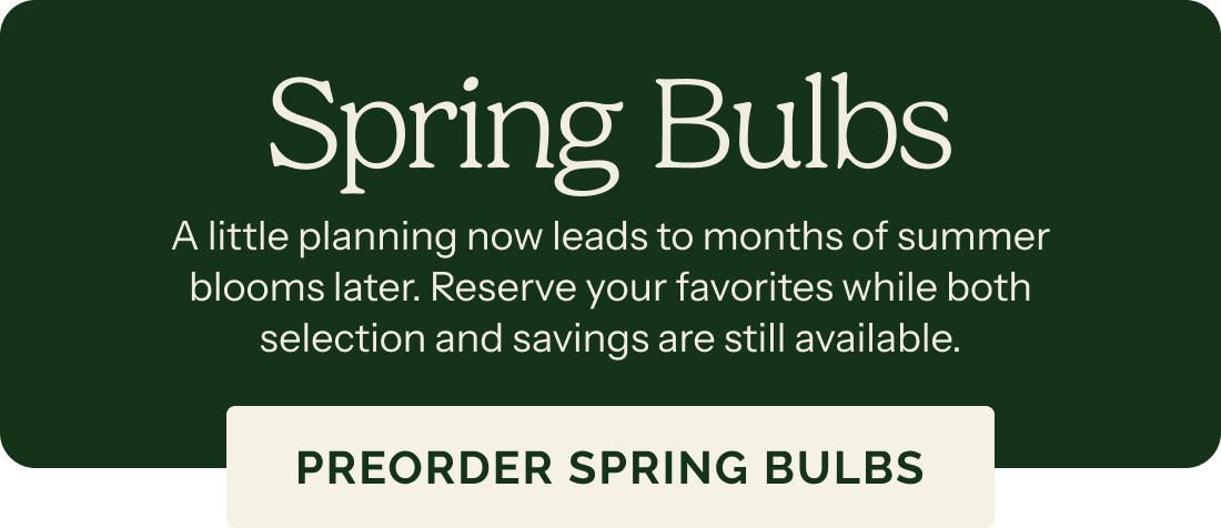 Spring Bulbs – A little planning now leads to months of summer blooms later. Reserve your favorites while both selection and savings are still available. PREORDER SPRING BULBS