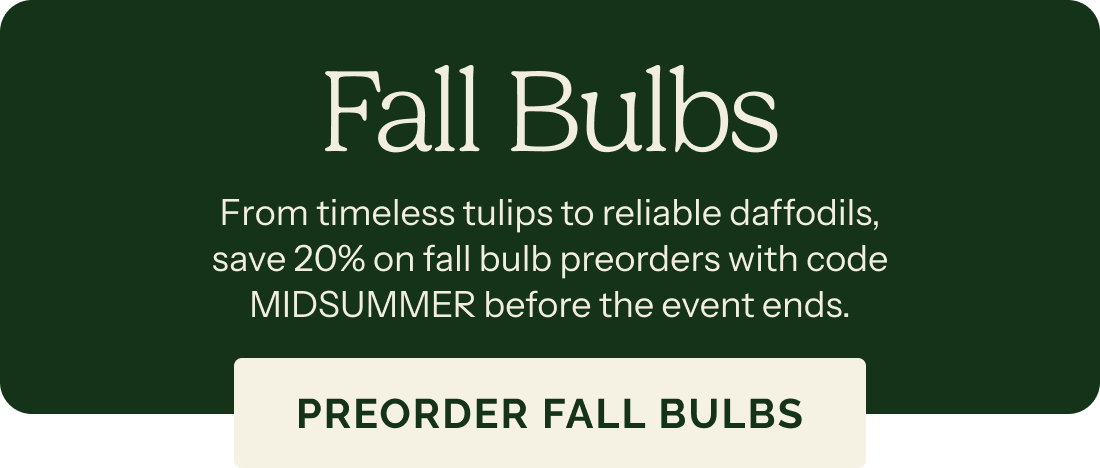 Fall Bulbs – From timeless tulips to reliable daffodils, save 20% on fall bulb preorders with code MIDSUMMER before the event ends. PREORDER FALL BULBS