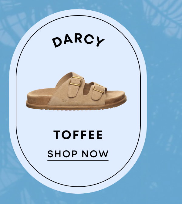 Darcy Toffee
