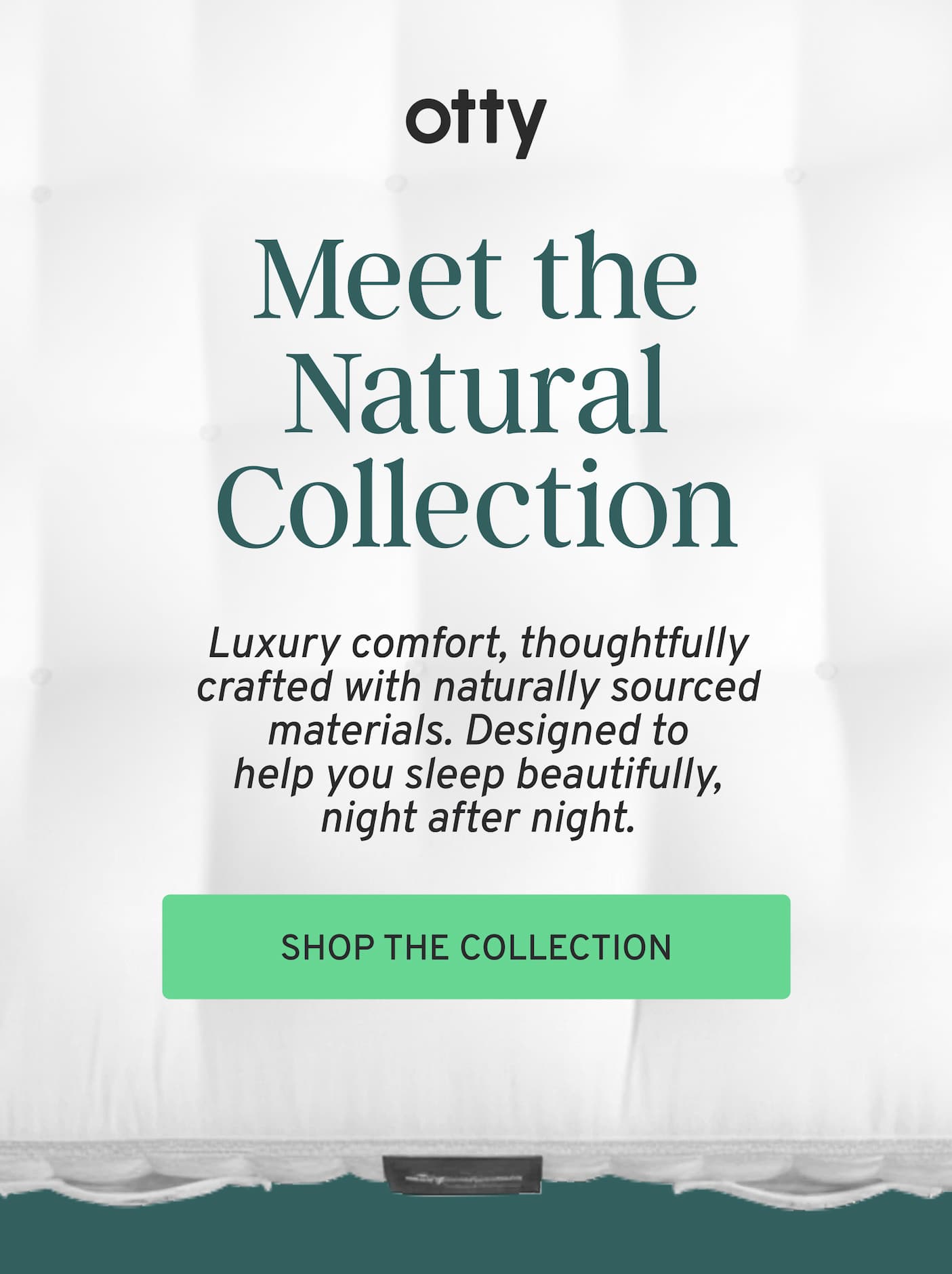 Meet the Natural Collection