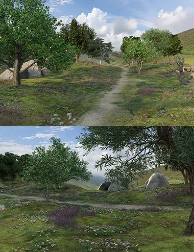 Serene Hillside Path