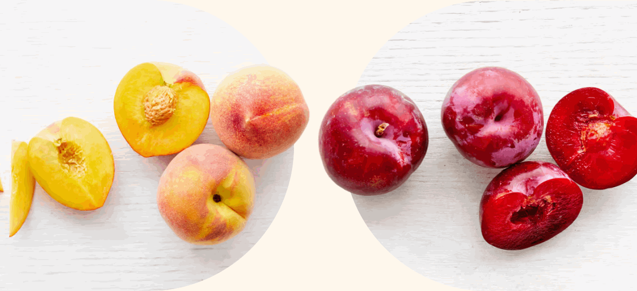 Halved and whole nectarines and peaches on one side, whole and halved red plums on the other, arranged on a white surface