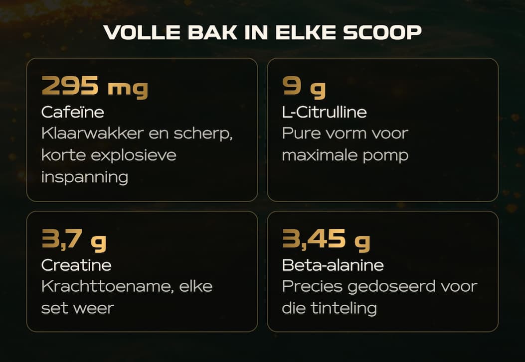 Volle bak in elke scoop