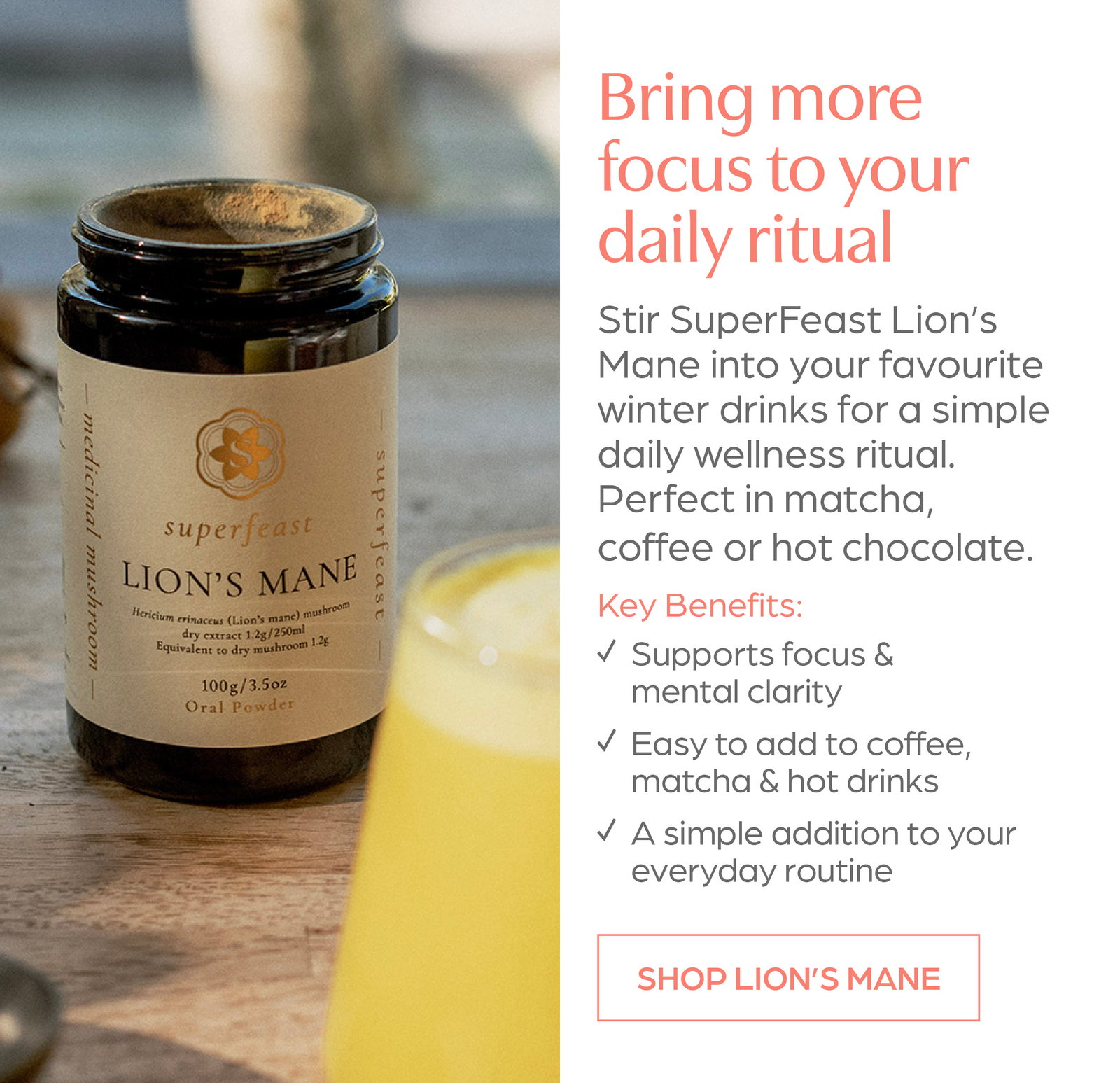 Bring more focus to your daily ritual. Shop SuperFeast Lion's Mane Mushrooms