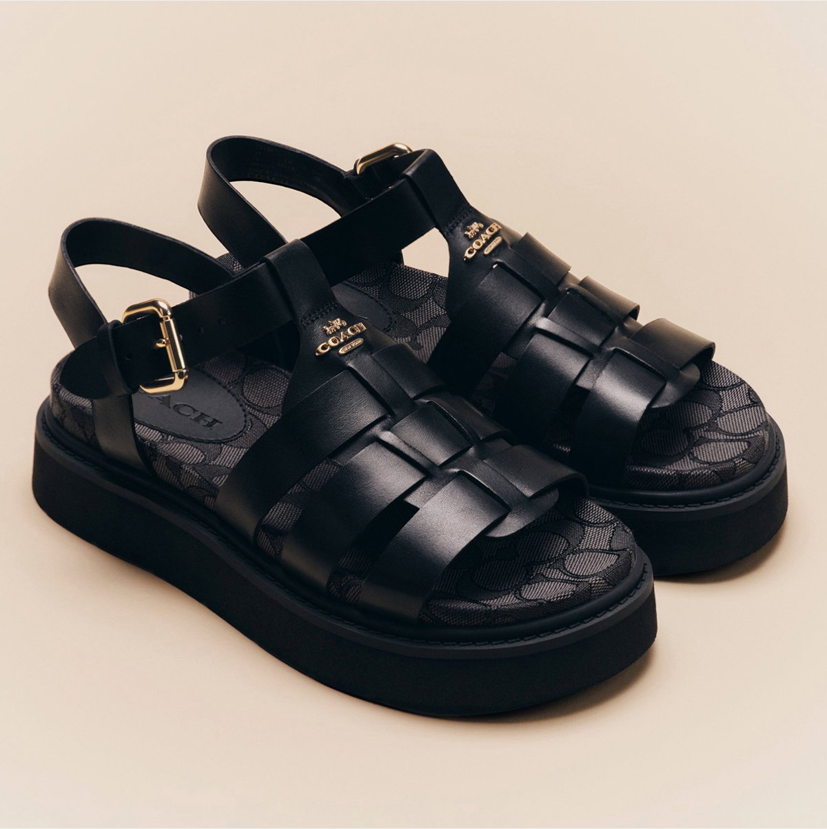 Shop Shoes