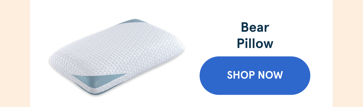 Bear Pillow