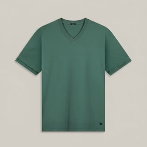 Pima Reserve V-Neck in Sea Moss