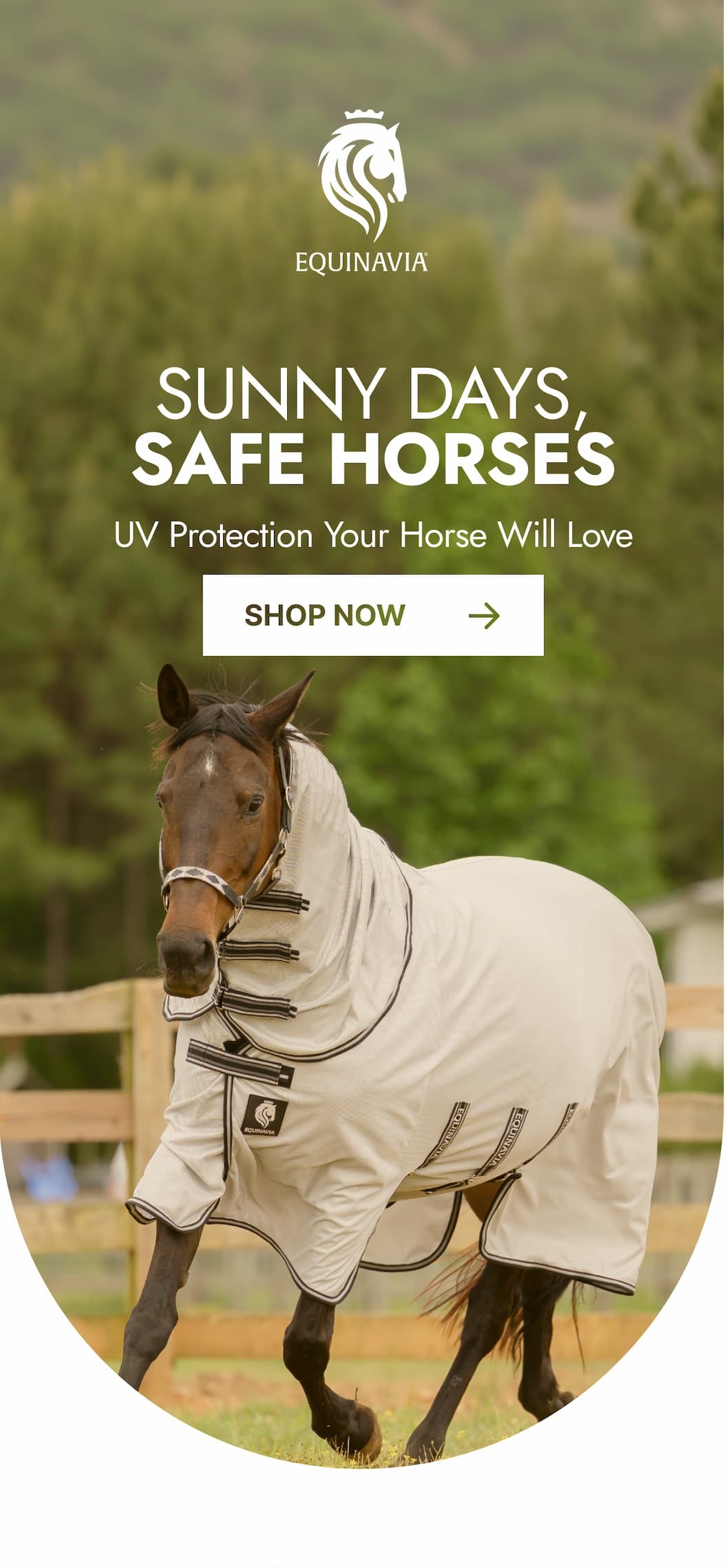 Sunny Days, Safe Horses - UV Protection Your Horse Will Love
