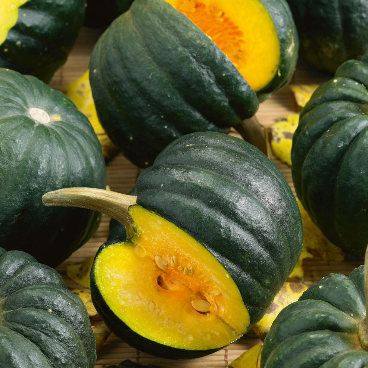 Squash Seeds - Winter - Black Futsu