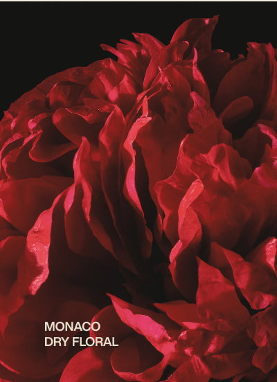 monaco | dry floral