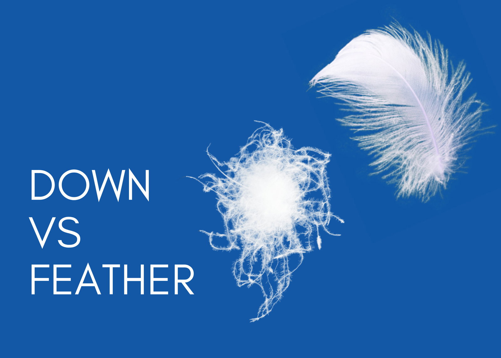 Down vs Feather