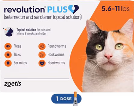 Revolution Plus