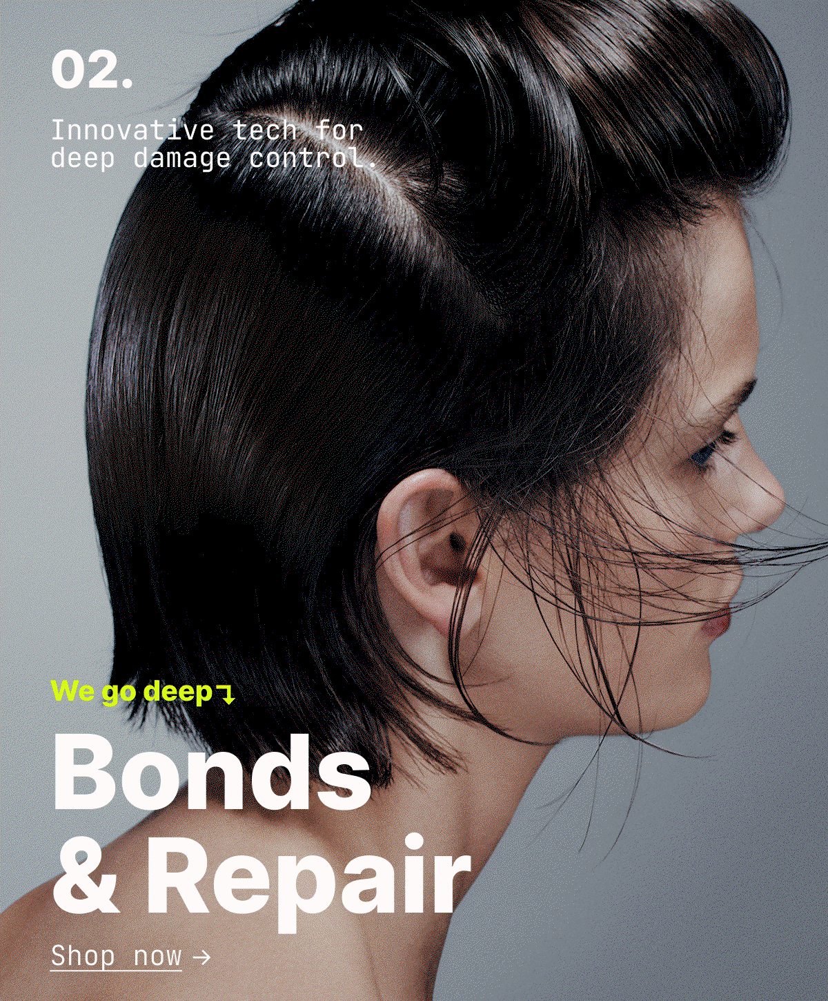 Bonds & Repair. Shop Now.