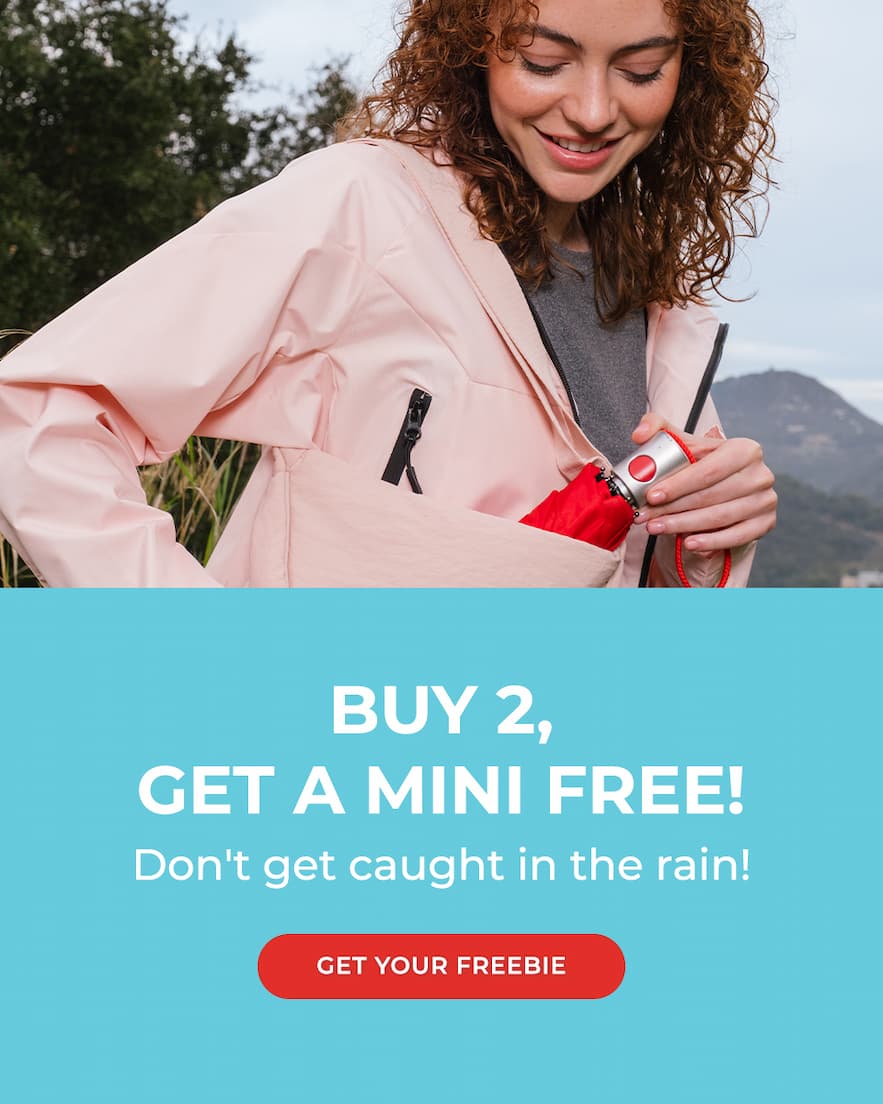 Buy 2, get a mini umbrella free!