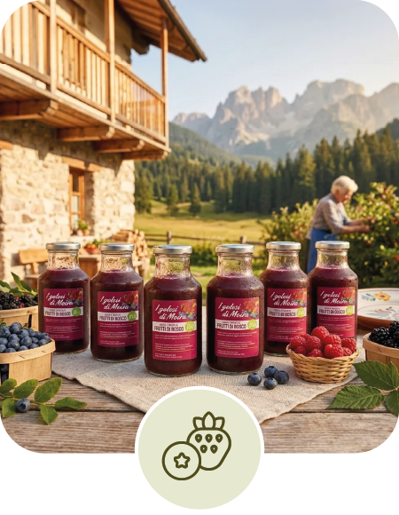 Succo e Polpa di Frutti di Bosco Bio 6 pz | Agrilife