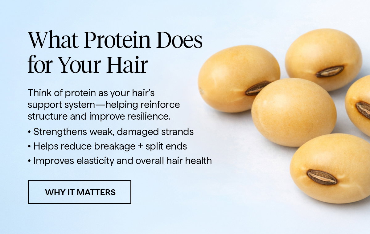 Think of protein as your hair’s support system—helping reinforce structure and improve resilience.  Strengthens weak, damaged strands   Helps reduce breakage + split ends   Improves elasticity and overall hair health 