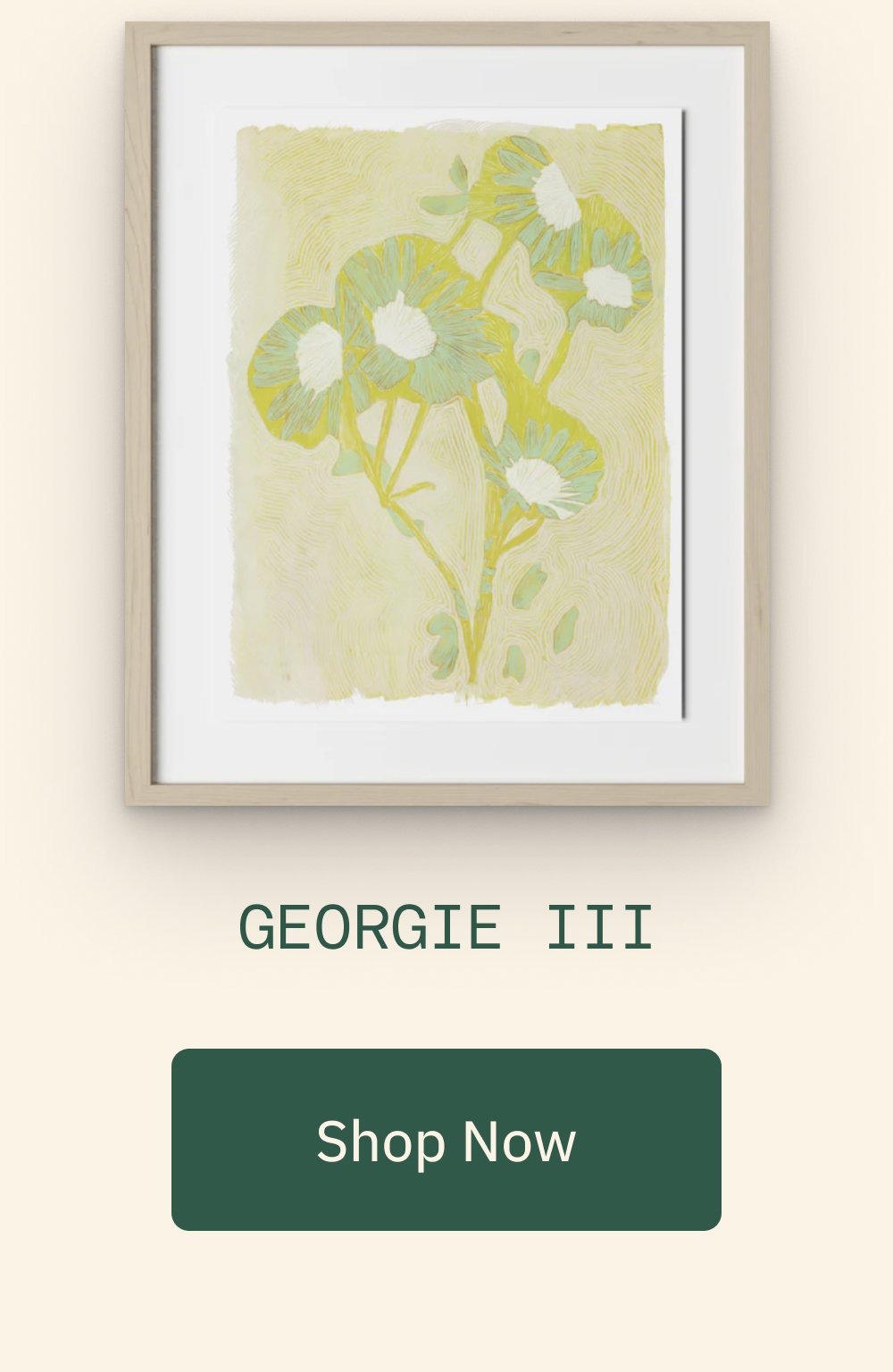 Georgie III Shop Now
