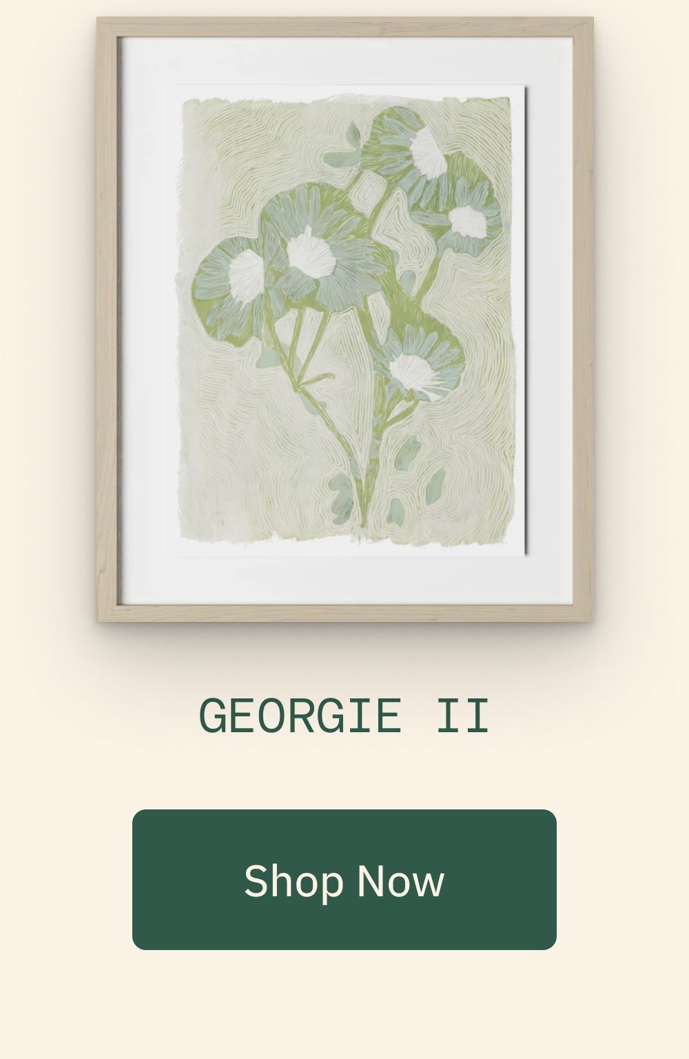 Georgie II Shop Now