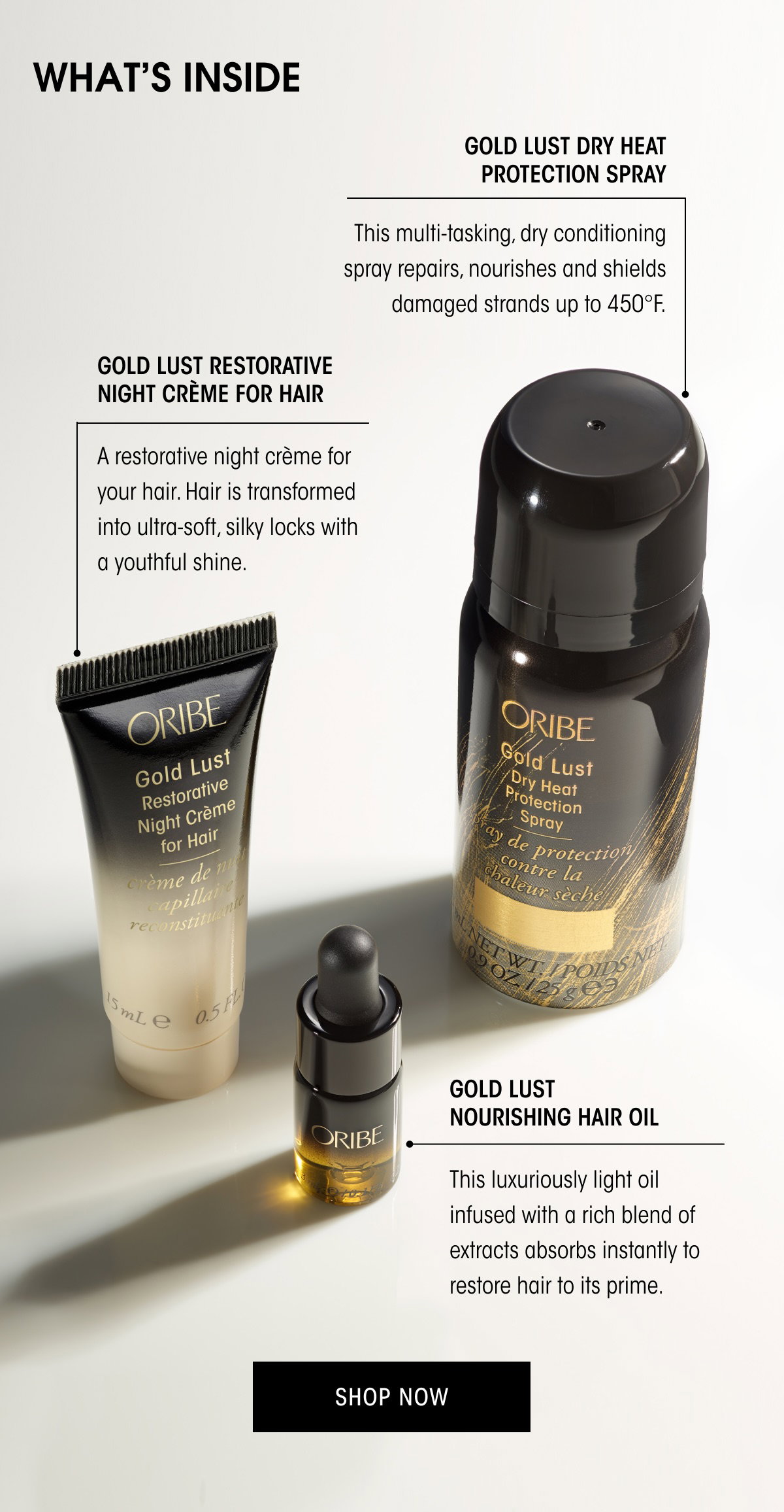 Gold Lust Nourish, Protect, & Restore Kit